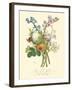 Plentiful Bouquet IV-T.L. Prevost-Framed Art Print