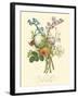 Plentiful Bouquet IV-T.L. Prevost-Framed Art Print