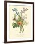 Plentiful Bouquet IV-T.L. Prevost-Framed Art Print