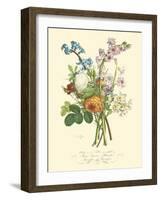 Plentiful Bouquet IV-T.L. Prevost-Framed Art Print