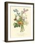 Plentiful Bouquet IV-T.L. Prevost-Framed Art Print