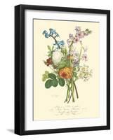 Plentiful Bouquet IV-T.L. Prevost-Framed Art Print