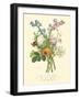 Plentiful Bouquet IV-T.L. Prevost-Framed Art Print