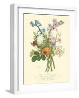 Plentiful Bouquet IV-T.L. Prevost-Framed Art Print