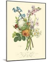 Plentiful Bouquet IV-T.L. Prevost-Mounted Art Print