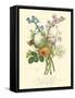 Plentiful Bouquet IV-T.L. Prevost-Framed Stretched Canvas