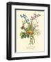 Plentiful Bouquet IV-T.L. Prevost-Framed Art Print