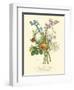 Plentiful Bouquet IV-T.L. Prevost-Framed Art Print