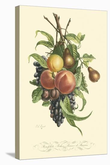 Plentiful Fruits I-Jean Louis Prevost-Stretched Canvas