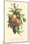 Plentiful Fruits I-Jean Louis Prevost-Mounted Art Print