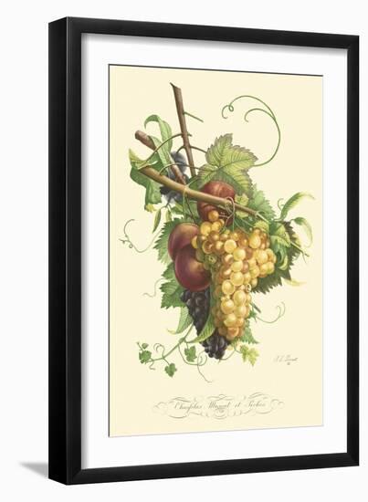 Plentiful Fruits II-Jean Louis Prevost-Framed Art Print