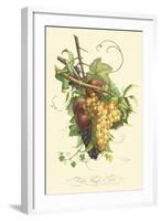 Plentiful Fruits II-Jean Louis Prevost-Framed Art Print