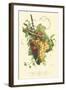 Plentiful Fruits II-Jean Louis Prevost-Framed Art Print