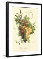 Plentiful Fruits II-Jean Louis Prevost-Framed Art Print