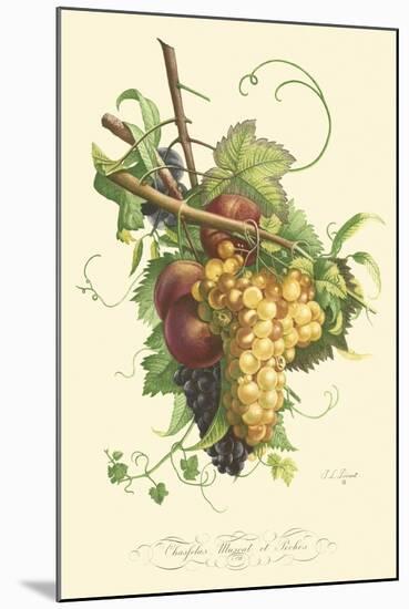 Plentiful Fruits II-Jean Louis Prevost-Mounted Art Print