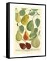 Plentiful Pears I-Johann Wilhelm Weinmann-Framed Stretched Canvas