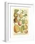 Plentiful Pears II-Johann Wilhelm Weinmann-Framed Art Print