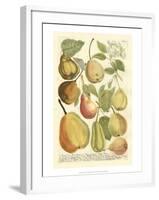 Plentiful Pears II-Johann Wilhelm Weinmann-Framed Art Print