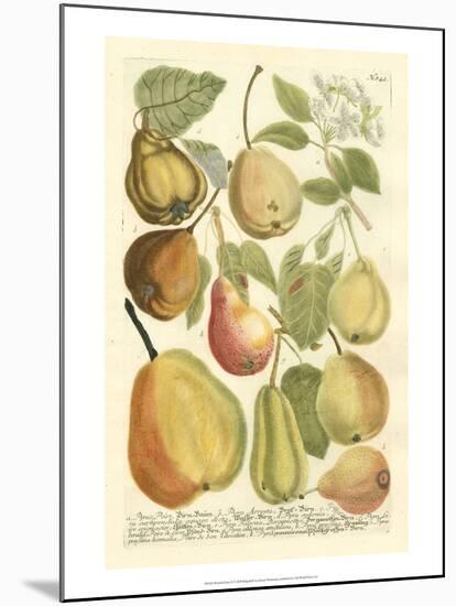 Plentiful Pears II-Johann Wilhelm Weinmann-Mounted Art Print