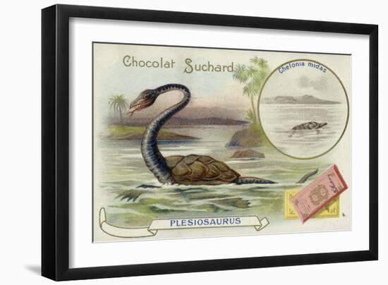 Plesiosaur and Green Sea Turtle-null-Framed Giclee Print