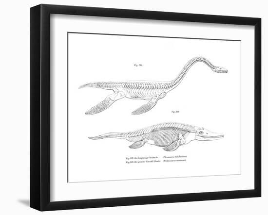 Plesiosaur-null-Framed Giclee Print