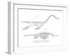 Plesiosaur-null-Framed Giclee Print