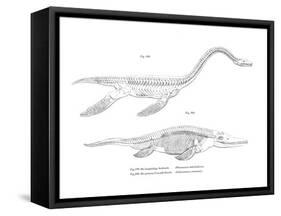 Plesiosaur-null-Framed Stretched Canvas