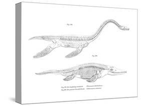 Plesiosaur-null-Stretched Canvas