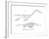 Plesiosaur-null-Framed Giclee Print