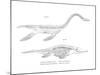 Plesiosaur-null-Mounted Giclee Print