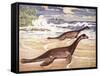 Plesiosaurs on a Mesozoic Beach-null-Framed Stretched Canvas