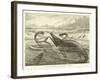 Plesiosaurus and Ichthyosaurus-null-Framed Giclee Print