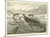 Plesiosaurus and Ichthyosaurus-null-Mounted Giclee Print