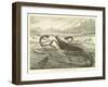 Plesiosaurus and Ichthyosaurus-null-Framed Giclee Print