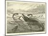 Plesiosaurus and Ichthyosaurus-null-Mounted Giclee Print