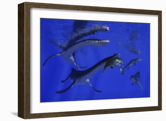 Plesiosaurus Attacks a Metriorhynchus in Jurassic Seas-Stocktrek Images-Framed Art Print