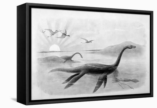 Plesiosaurus Dolichodeirus-J. Smit-Framed Stretched Canvas