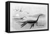 Plesiosaurus Dolichodeirus-J. Smit-Framed Stretched Canvas