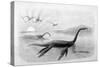 Plesiosaurus Dolichodeirus-J. Smit-Stretched Canvas