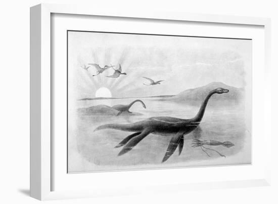 Plesiosaurus Dolichodeirus-J. Smit-Framed Art Print