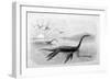 Plesiosaurus Dolichodeirus-J. Smit-Framed Art Print