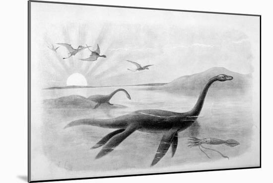 Plesiosaurus Dolichodeirus-J. Smit-Mounted Art Print