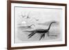 Plesiosaurus Dolichodeirus-J. Smit-Framed Premium Giclee Print