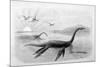 Plesiosaurus Dolichodeirus-J. Smit-Mounted Premium Giclee Print