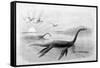 Plesiosaurus Dolichodeirus-J. Smit-Framed Stretched Canvas