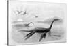 Plesiosaurus Dolichodeirus-J. Smit-Stretched Canvas