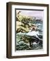 Plesiosaurus-Payne-Framed Giclee Print