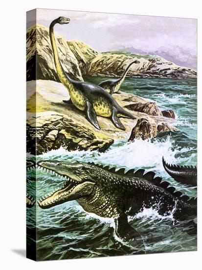 Plesiosaurus-Payne-Stretched Canvas