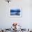 Pletna Rowing Boat, Lake Bled, Bled, Gorenjska, Upper Carniola Region, Slovenia, Europe-Matthew Williams-Ellis-Framed Photographic Print displayed on a wall