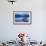 Pletna Rowing Boat, Lake Bled, Bled, Gorenjska, Upper Carniola Region, Slovenia, Europe-Matthew Williams-Ellis-Framed Photographic Print displayed on a wall
